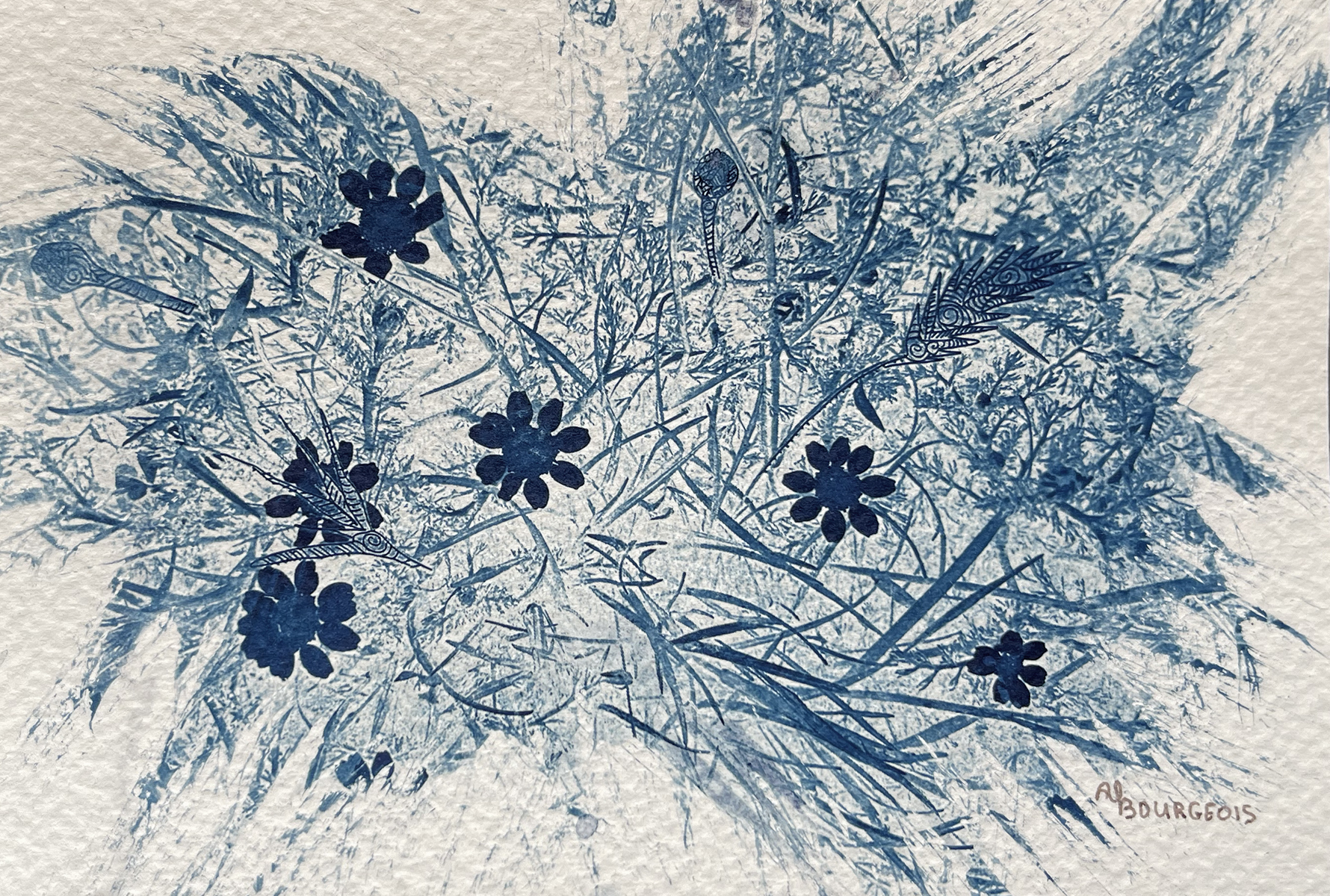 Paquerettes_Inversees1