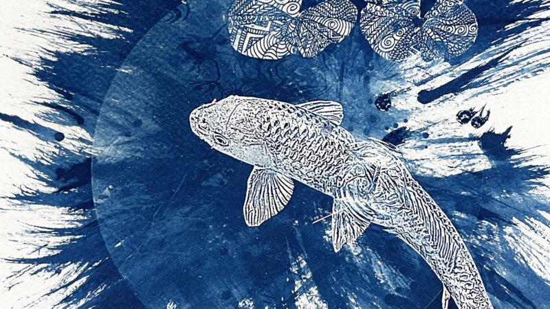 Cyanotype représentant une carpe koï et 4 nymphéas