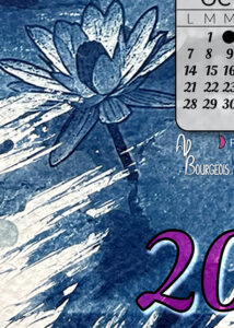 2024_calendrier_cyano_focus1