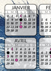 2024_calendrier_cyano_focus2