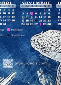 2025_calendrier_cyano_b