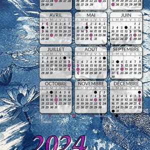 2024_calendrier_cyano